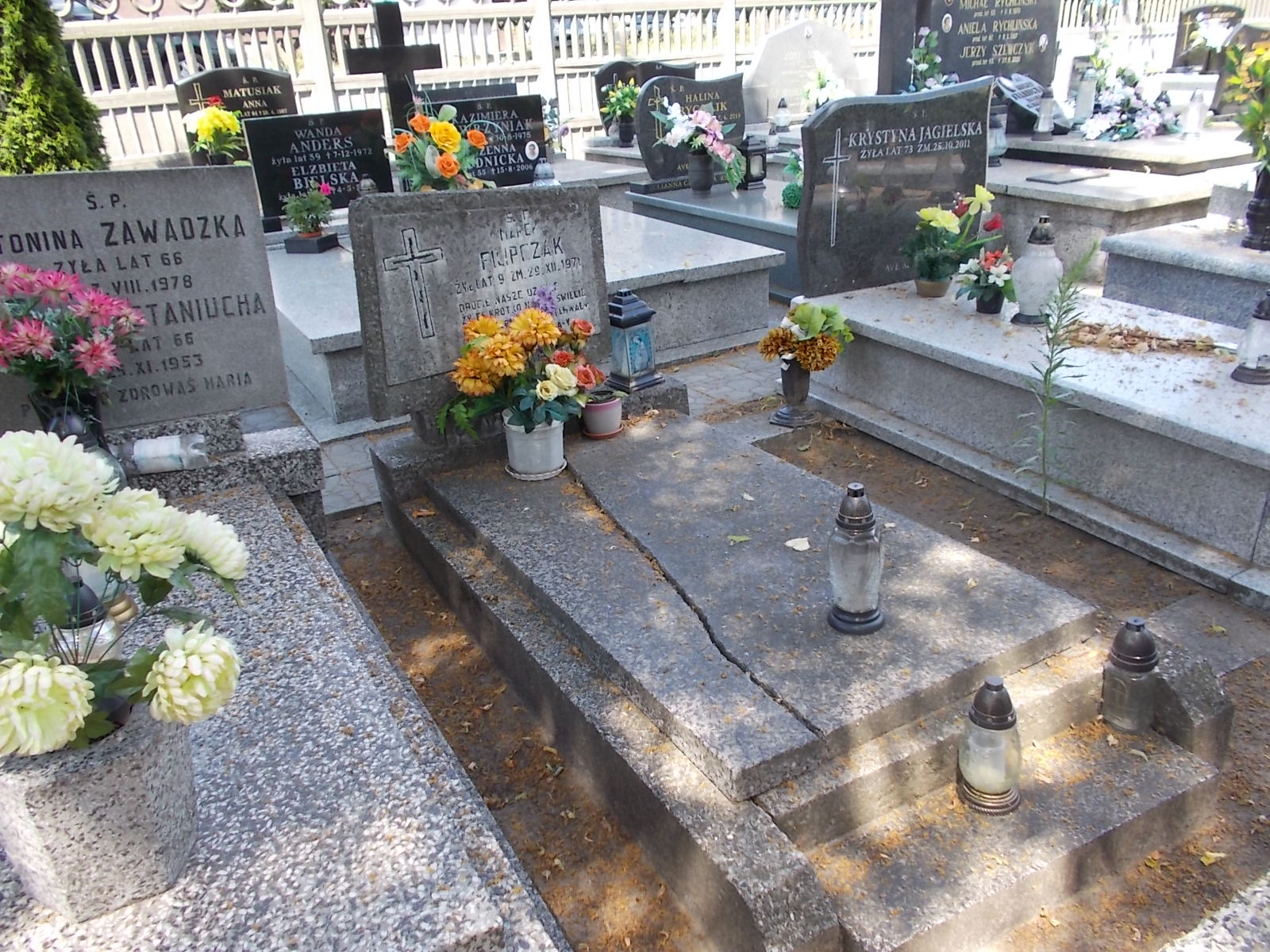 Grób Józef Staniucha