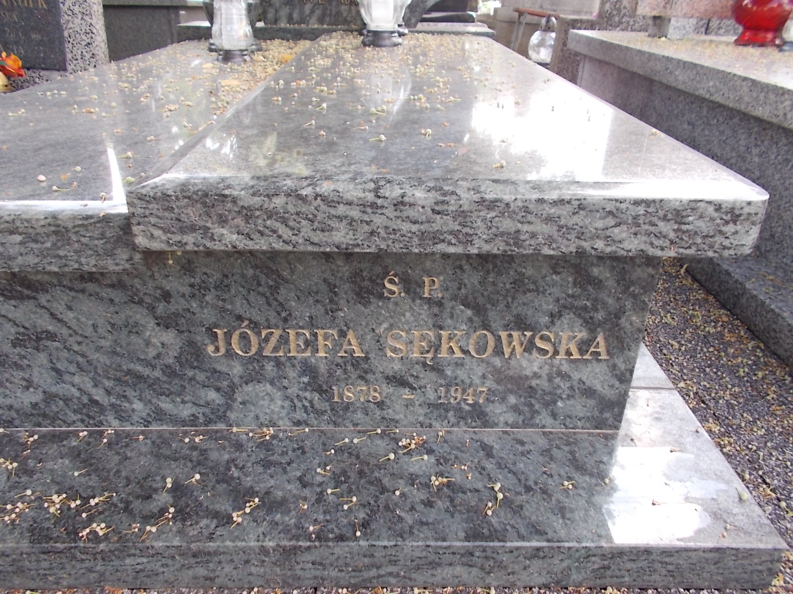 Irena Tyczka 1946 Zduńska Wola parafia - Grobonet - Wyszukiwarka osób pochowanych