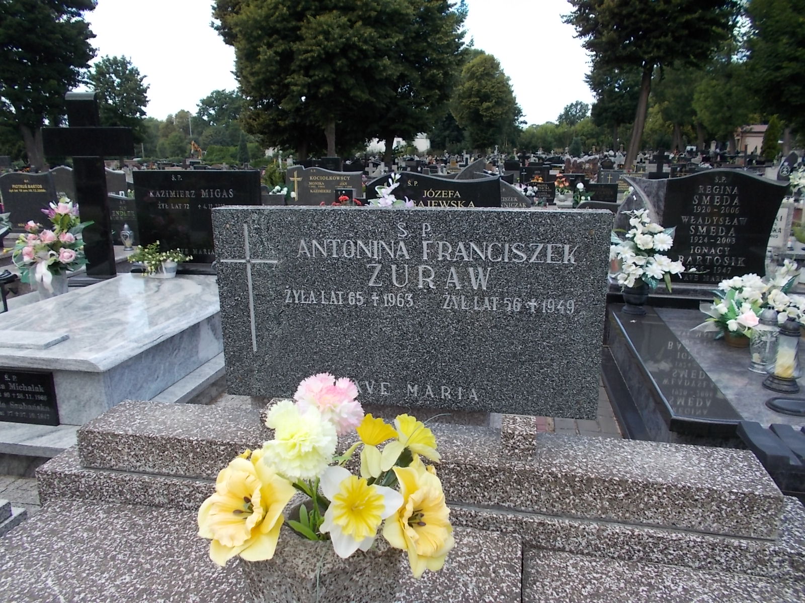 Zofia Jarzyńska 1929 Zduńska Wola parafia - Grobonet - Wyszukiwarka osób pochowanych