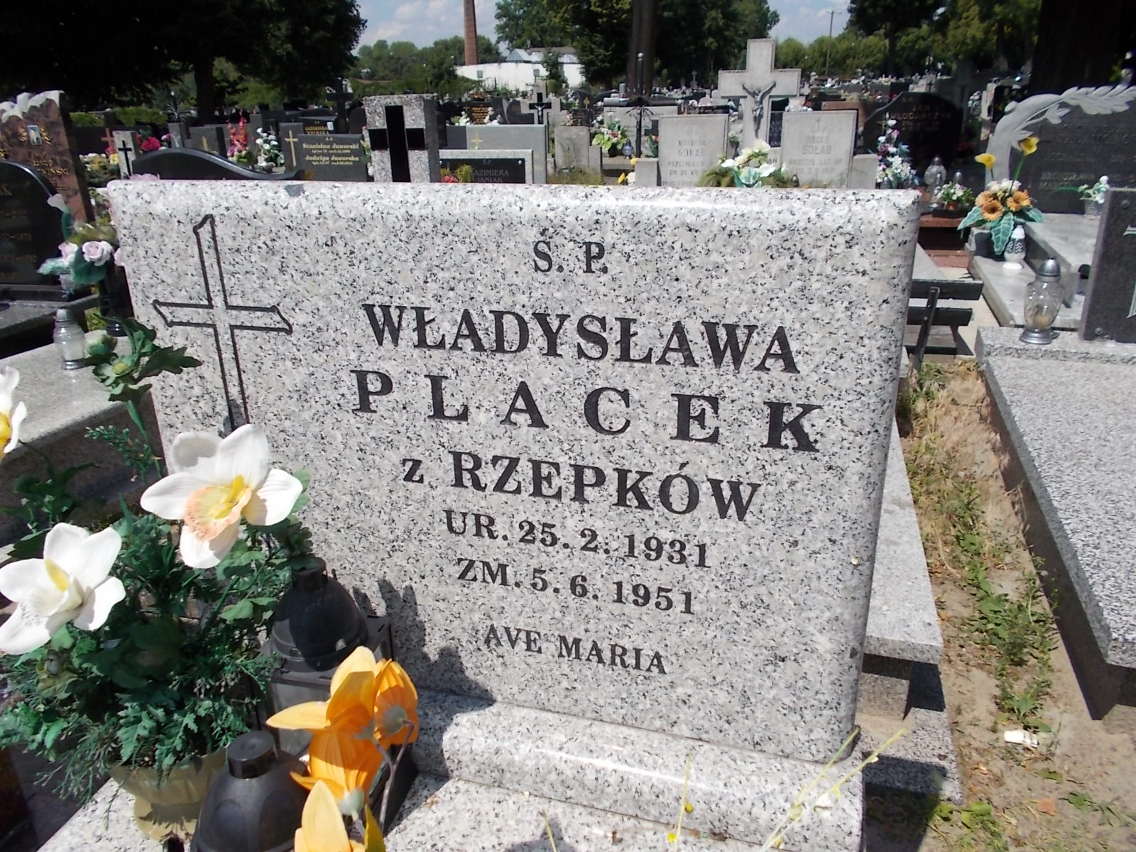Władysława Placek 1931 Zduńska Wola parafia - Grobonet - Wyszukiwarka osób pochowanych