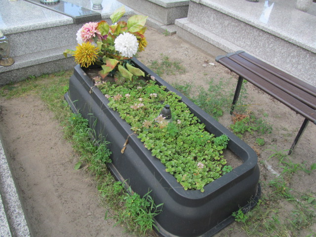 Grób Henryk Pastusiak