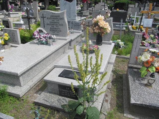 Grób Urszula Palma