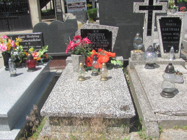 Grób Franciszek Piechota