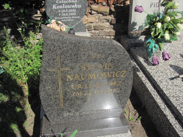 Sylwia Naumowicz 1982 Zduńska Wola parafia - Grobonet - Wyszukiwarka osób pochowanych