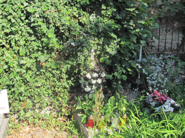  NN Zduńska Wola parafia - Grobonet - Wyszukiwarka osób pochowanych