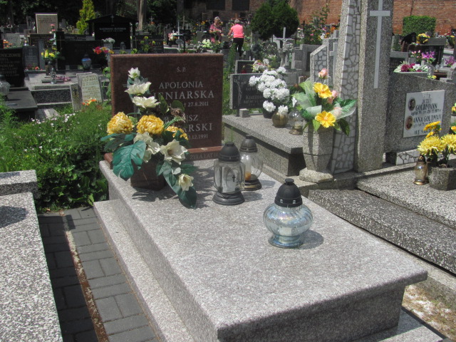 Grób Apolonia Sieniarska