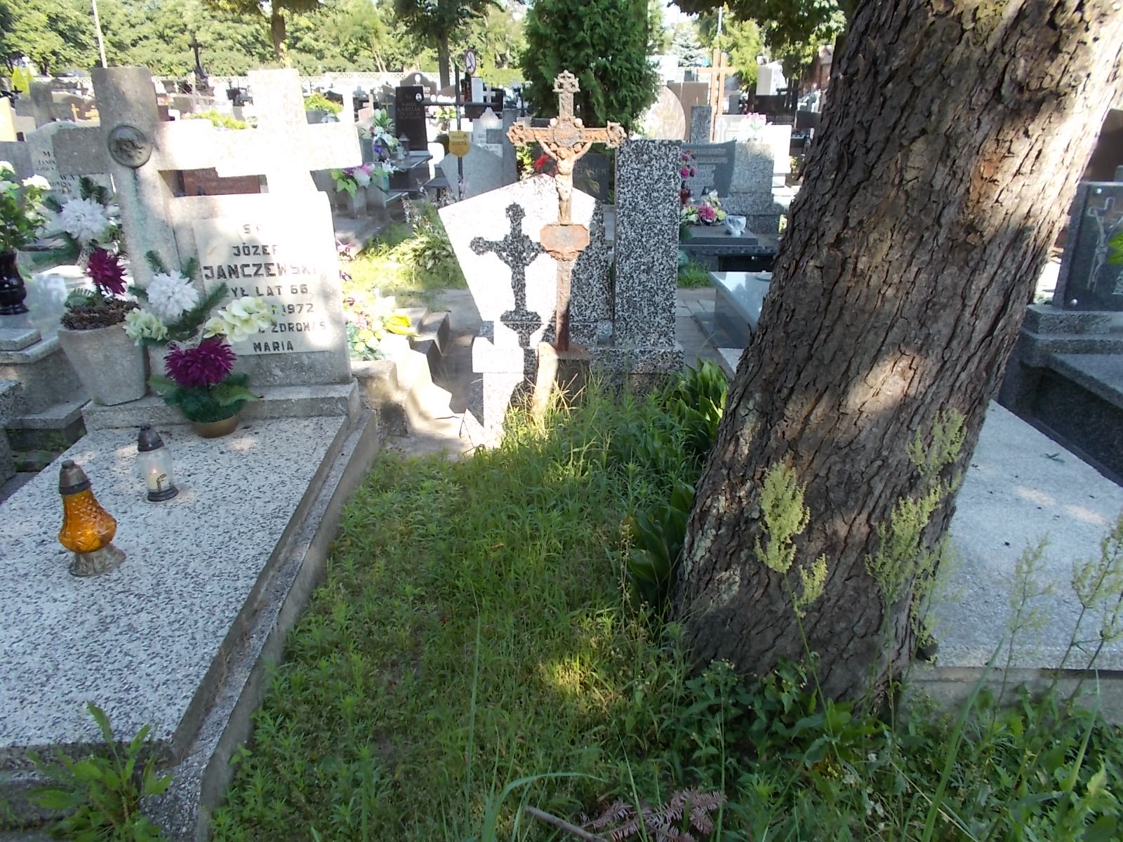  NN Zduńska Wola parafia - Grobonet - Wyszukiwarka osób pochowanych