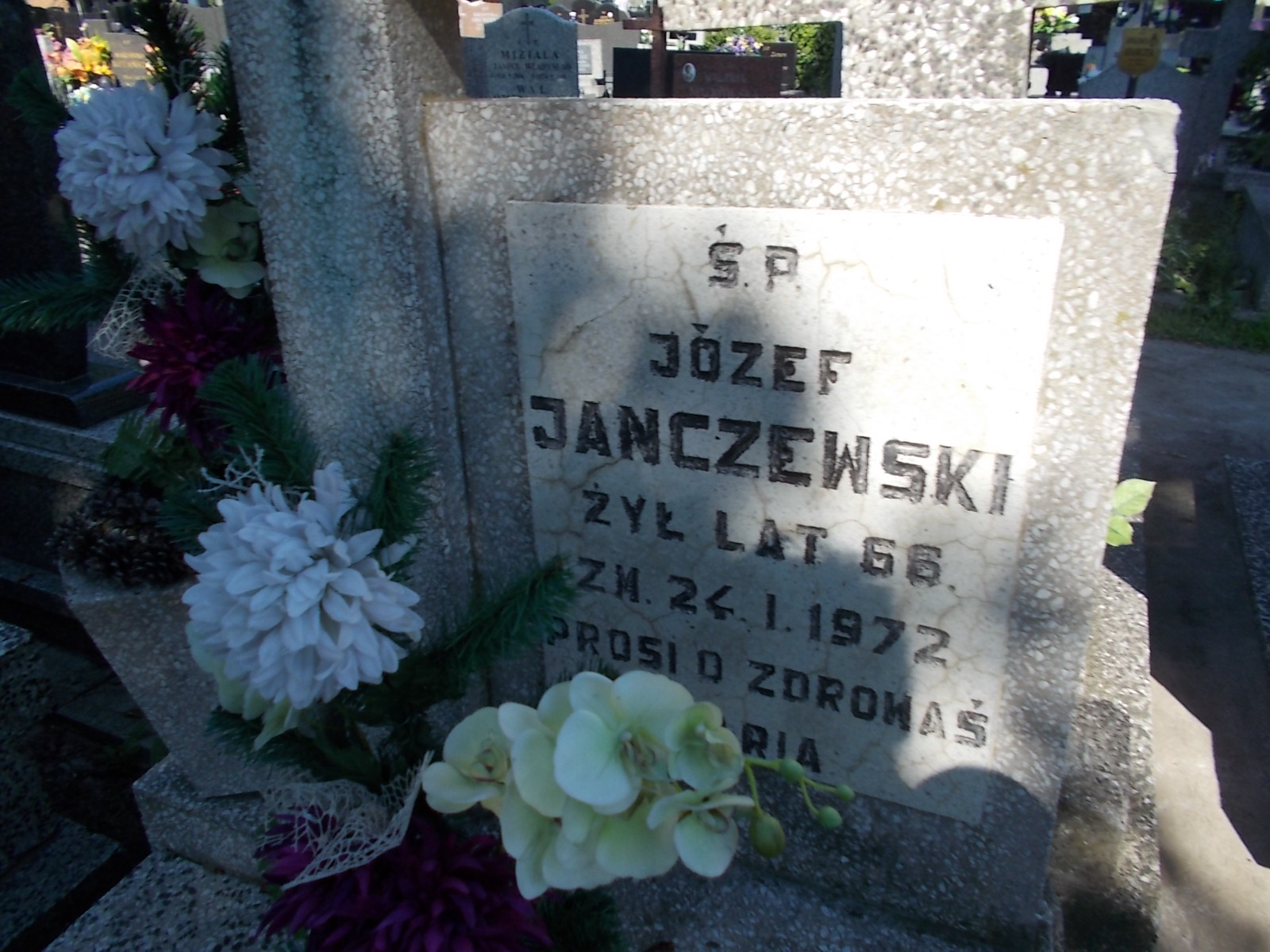 Józef Janczewski Zduńska Wola parafia - Grobonet - Wyszukiwarka osób pochowanych