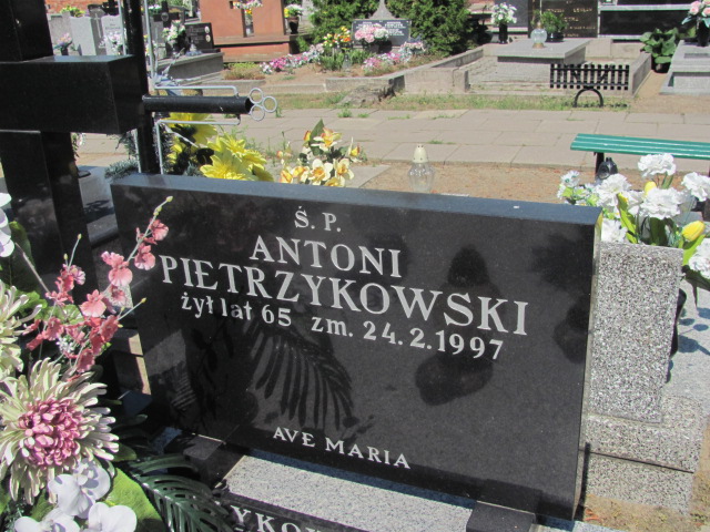 Piotr Pietrzykowski 1884 Zduńska Wola parafia - Grobonet - Wyszukiwarka osób pochowanych