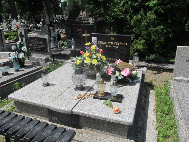 Grób Leokadia Wilczyńska