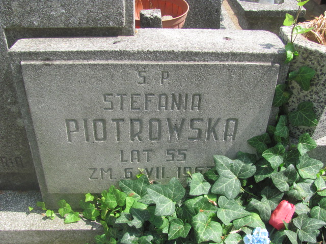 Antonina Piotrowska Zduńska Wola parafia - Grobonet - Wyszukiwarka osób pochowanych
