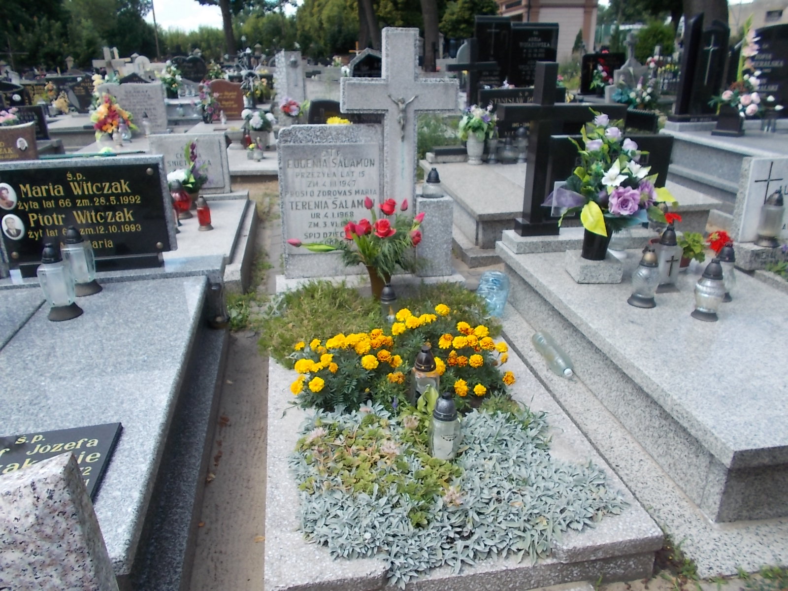 Grób Teresa Salamon