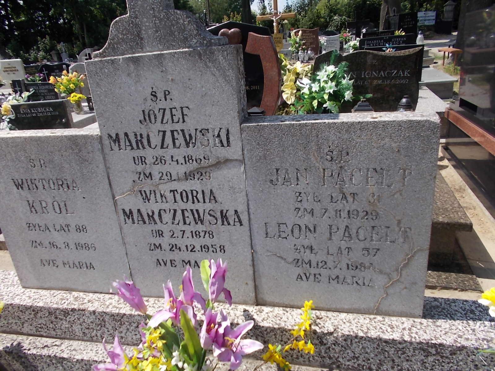 Wiktoria Marczewska 1878 Zduńska Wola parafia - Grobonet - Wyszukiwarka osób pochowanych