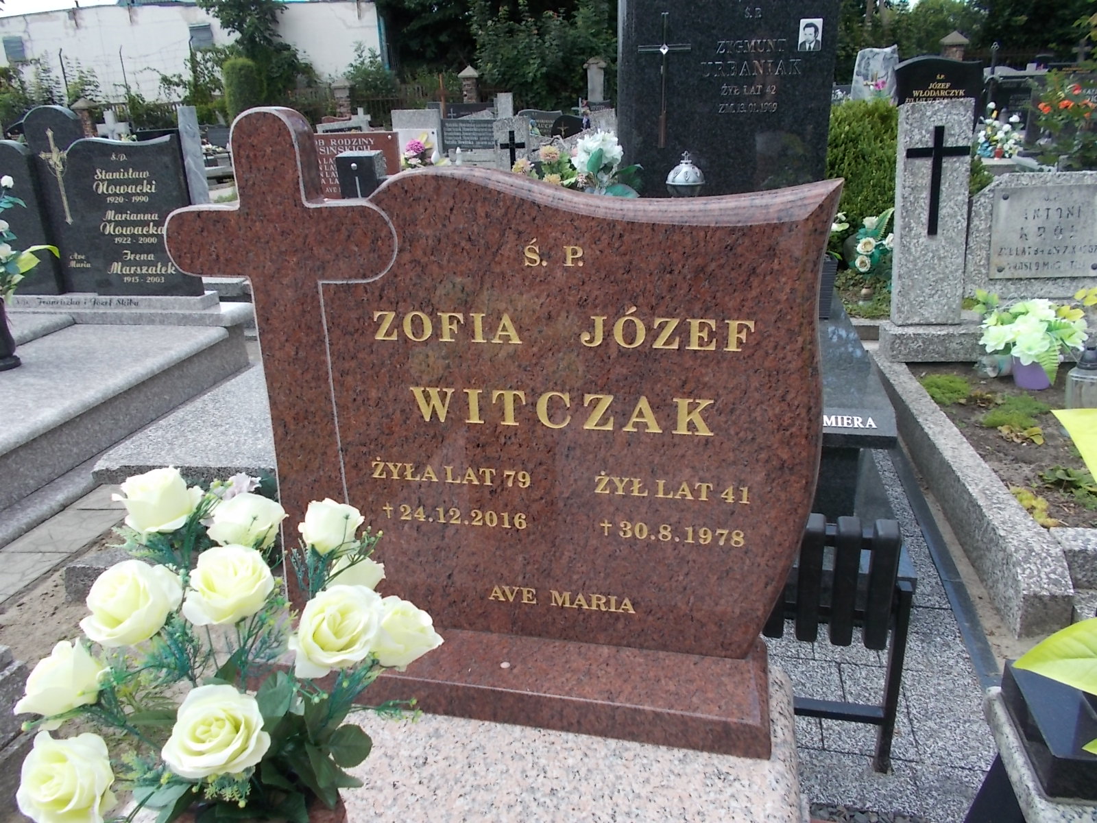 Zofia Witczak 1937 Zduńska Wola parafia - Grobonet - Wyszukiwarka osób pochowanych