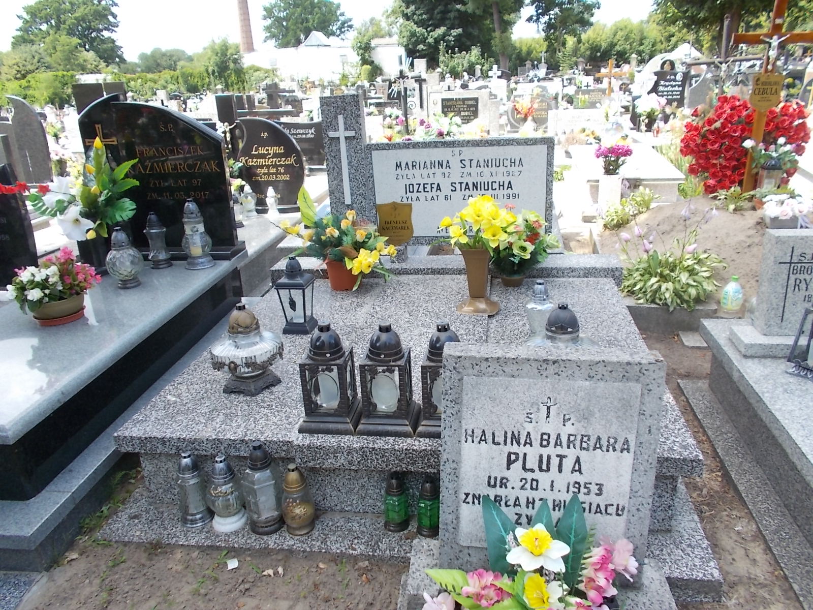 Grób Józefa Staniucha